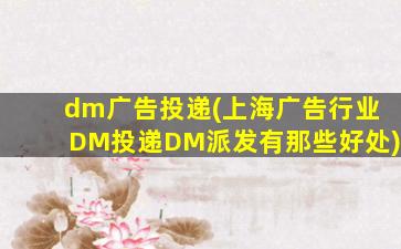 dm广告投递(上海广告行业DM投递DM派发有那些好处)