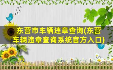 东营市车辆违章查询(东营车辆违章查询系统官方入口)