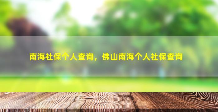 南海社保个人查询，佛山南海个人社保查询