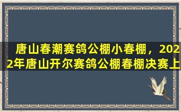 唐山春潮赛鸽公棚小春棚，2022年唐山开尔赛鸽公棚春棚决赛上笼多少插图