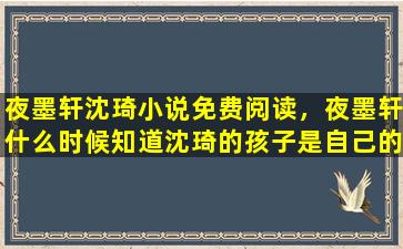 夜墨轩沈琦小说免费阅读，夜墨轩什么时候知道沈琦的孩子是自己的