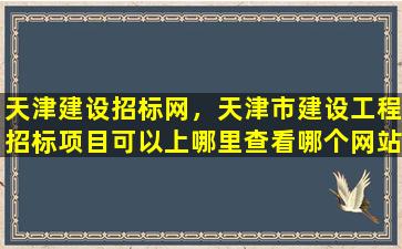 天津建设招标网，天津市建设工程招标项目可以上哪里查看哪个网站比较好