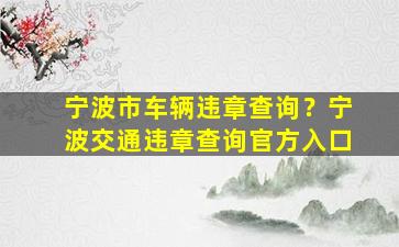 宁波市车辆违章查询？宁波交通违章查询官方入口插图