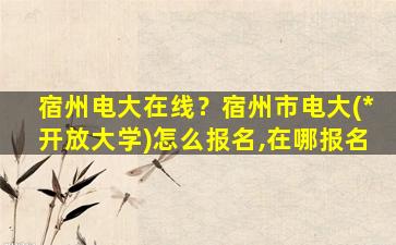 宿州电大在线？宿州市电大(*开放大学)怎么报名,在哪报名插图