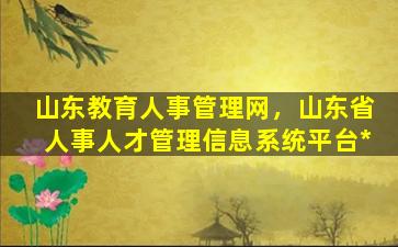 山东教育人事管理网，山东省人事人才管理信息系统平台*插图