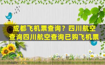 成都飞机票查询？四川航空查询四川航空查询已购飞机票