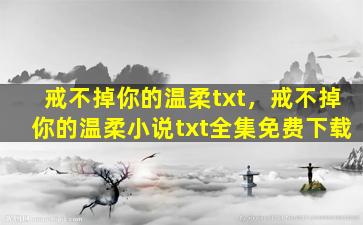 戒不掉你的温柔txt，戒不掉你的温柔小说txt全集免费下载插图