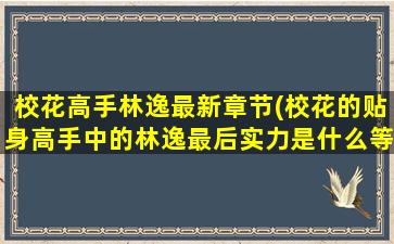 校花高手林逸最新章节(校花的贴身高手中的林逸最后实力是什么等级)插图