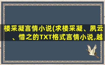 楼采凝言情小说(求楼采凝、夙云、惜之的TXT格式言情小说,越全越好)插图