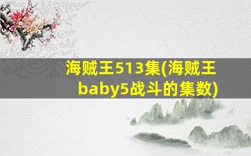 海贼王513集(海贼王baby5战斗的集数)