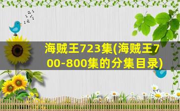 海贼王723集(海贼王700-800集的分集目录)