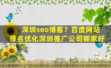 深圳seo博客？百度网站排名优化深圳推广*哪家好