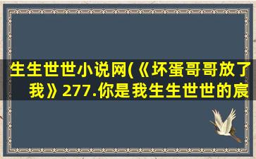 生生世世小说网(《坏蛋哥哥放了我》277.你是我生生世世的宸洛(番外))插图