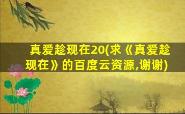 真爱趁现在20(求《真爱趁现在》的百度云资源,谢谢)