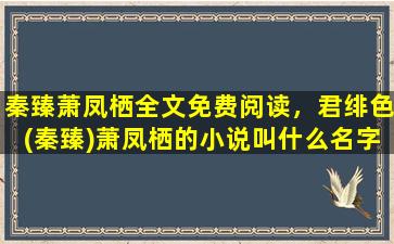 秦臻萧凤栖全文免费阅读，君绯色(秦臻)萧凤栖的小说叫什么名字,哪个小说软件能看